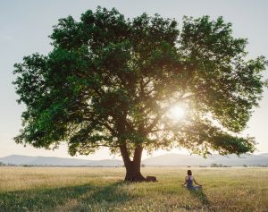 A woman sits cross-legged in meditation under a large, leafy tree in a grassy field at sunset, embracing integrative medicine as sun rays peek through the branches and distant mountains rise in the background.