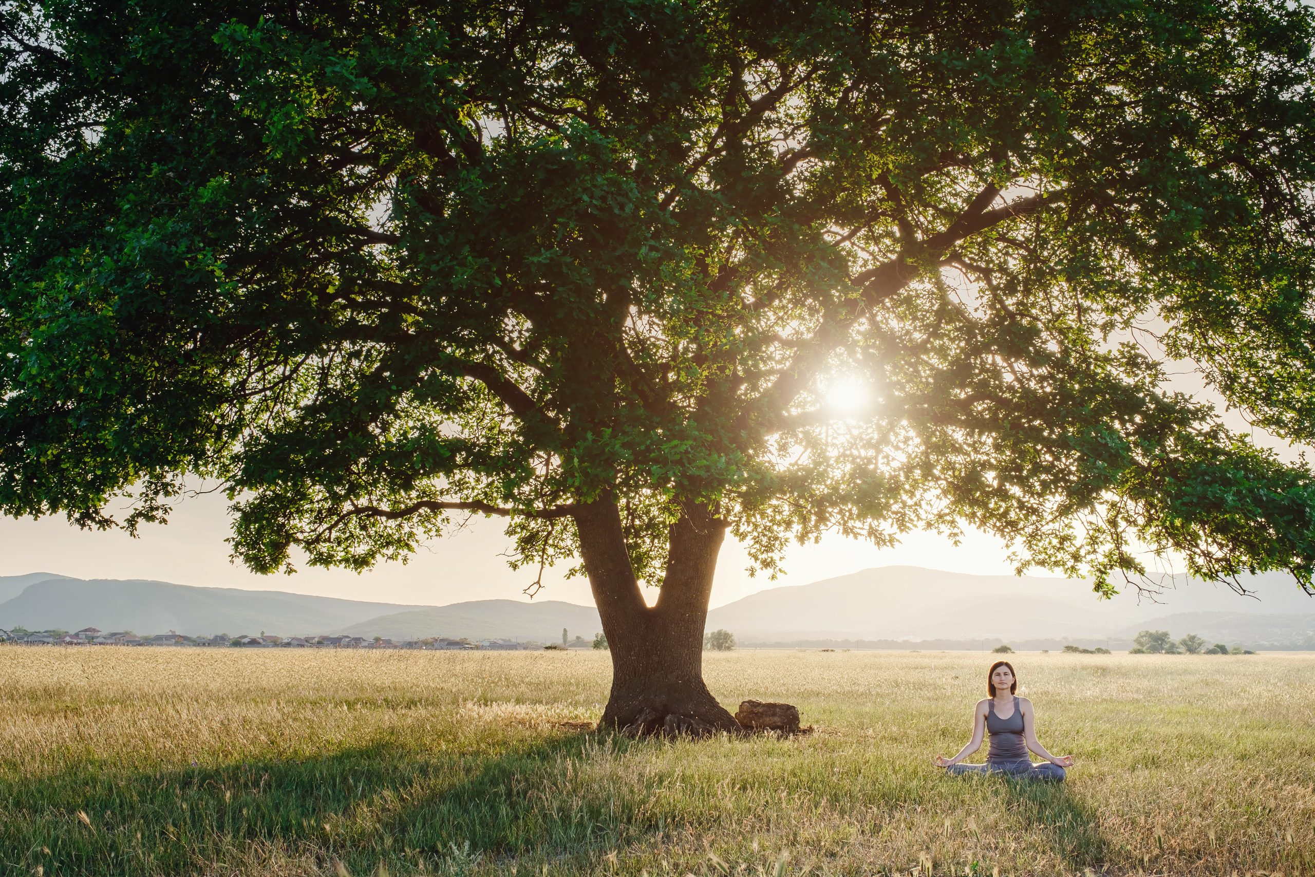 A person sits cross-legged on grass under a large tree in a sunlit field, with distant hills and a bright sky in the background. Sunlight filters through the leafy branches, evoking the peaceful spirit of holistic care at Heidelberger Integrative in York PA.
