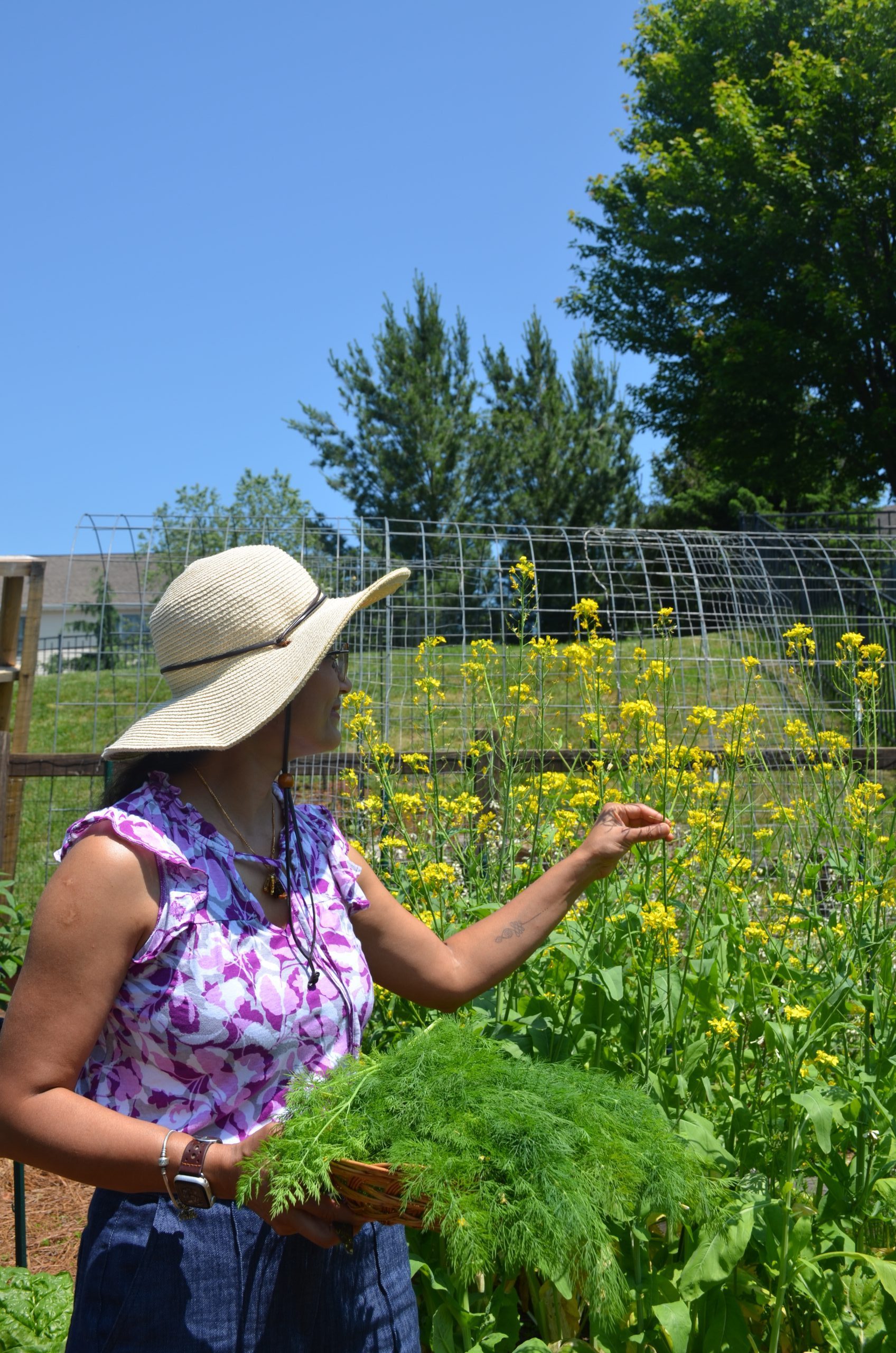 A woman wearing a wide-brimmed hat and a sleeveless floral top stands in a garden in York PA, holding fresh greens and reaching toward yellow flowering plants, embodying the spirit of Heidelberger Integrative holistic care on a sunny day.